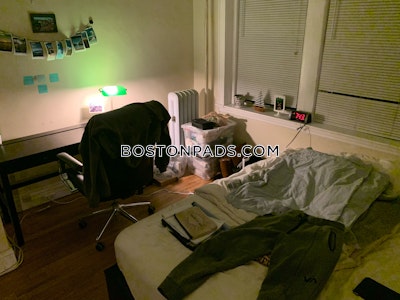 Allston Apartment for rent 1 Bedroom 1 Bath Boston - $2,900