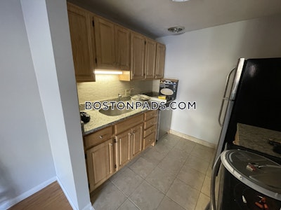 Brookline Apartment for rent Studio 1 Bath  Boston University - $2,500 No Fee