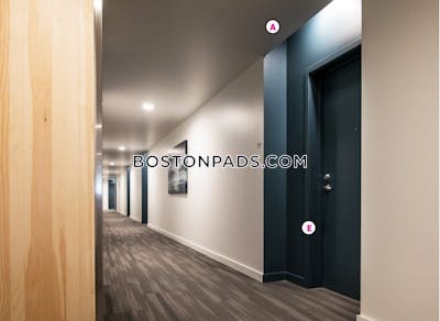 Allston/brighton Border Apartment for rent 2 Bedrooms 2 Baths Boston - $4,388 No Fee