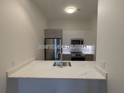 Allston Apartment for rent 2 Bedrooms 2 Baths Boston - $4,100 No Fee