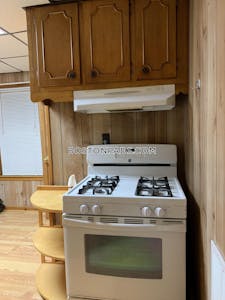 Dorchester/south Boston Border 1 Bed 1.5 Baths Boston - $2,600
