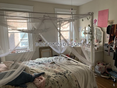 Allston Apartment for rent 1 Bedroom 1 Bath Boston - $2,950