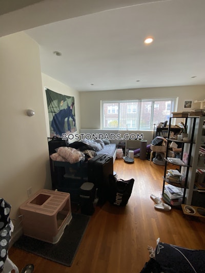 Allston Studio 1 Bath Boston - $2,500