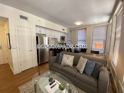 Downtown 1 Bed 1 Bath BOSTON Boston - $3,400