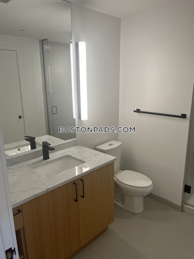Allston Apartment for rent 2 Bedrooms 2 Baths Boston - $5,000 No Fee