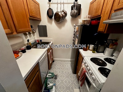 Fenway/kenmore Apartment for rent 1 Bedroom 1 Bath Boston - $3,430