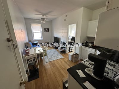 Northeastern/symphony Apartment for rent 1 Bedroom 1 Bath Boston - $2,700 No Fee