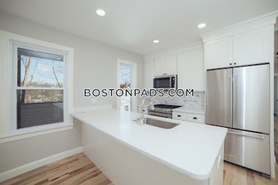 Brookline Apartment for rent 2 Bedrooms 1 Bath  Chestnut Hill - $3,700