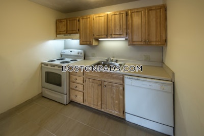 Allston Apartment for rent 1 Bedroom 1 Bath Boston - $2,850