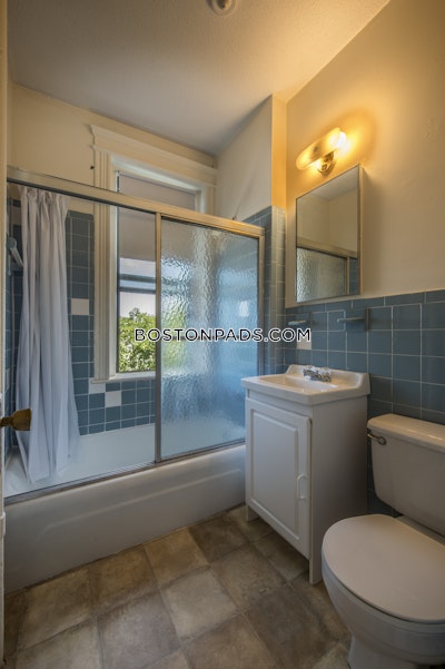 Allston Apartment for rent 1 Bedroom 1 Bath Boston - $2,675