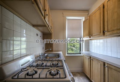 Allston Apartment for rent 1 Bedroom 1 Bath Boston - $2,350 No Fee