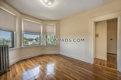 Allston Apartment for rent 1 Bedroom 1 Bath Boston - $2,925