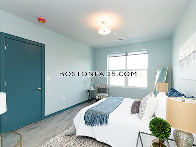 Dorchester/south Boston Border 2 bedroom 2 baths in BOSTON Boston - $3,450