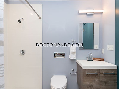 Dorchester/south Boston Border 2 bedroom 2 baths in BOSTON Boston - $3,475