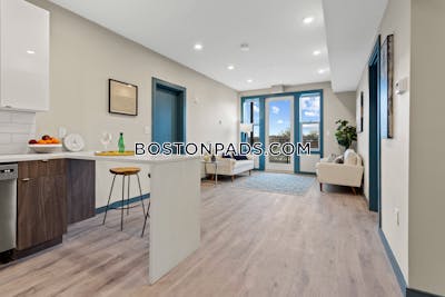 Dorchester/south Boston Border 2 bedroom 2 baths in BOSTON Boston - $3,325