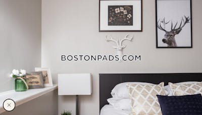 Cambridge By far the best 5 bed 3 bath apt available on Story St   Harvard Square - $8,200