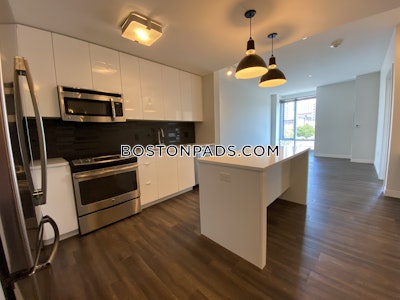 South End Apartment for rent 1 Bedroom 1 Bath Boston - $3,925