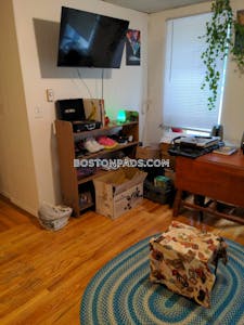 Brighton Apartment for rent 1 Bedroom 1 Bath Boston - $2,200