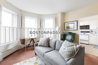 Back Bay Apartment for rent Studio 1 Bath Boston - $2,700