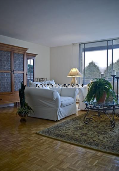 Brighton Apartment for rent 1 Bedroom 1 Bath Boston - $2,500