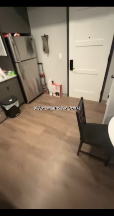 Northeastern/symphony Apartment for rent 2 Bedrooms 1 Bath Boston - $4,500 No Fee