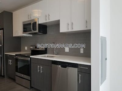 Brighton 1 bedroom 2 baths Luxury in BOSTON Boston - $2,800