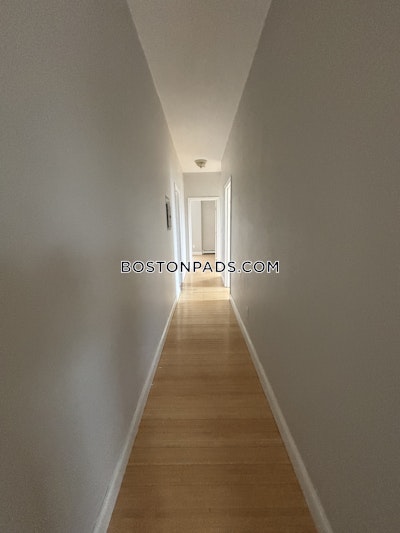 Roxbury 3 Beds 1 Bath Boston - $3,095 No Fee