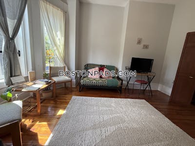 Roxbury Apartment for rent 1 Bedroom 1 Bath Boston - $2,625 No Fee