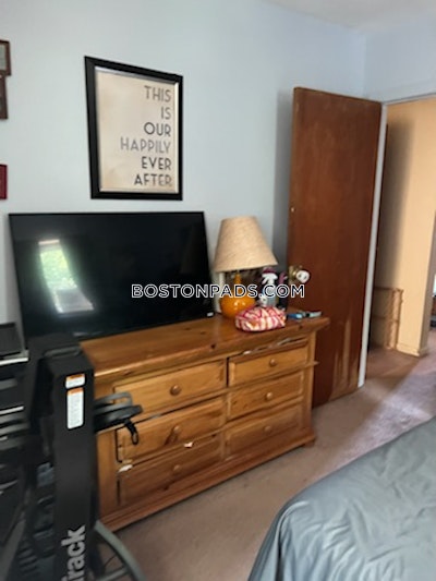 Newton 2 Beds 1 Bath  Chestnut Hill - $3,000