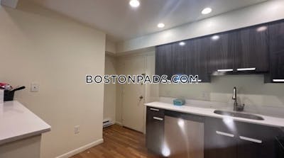 Brookline Apartment for rent Studio 1 Bath  Chestnut Hill - $2,600
