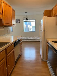 Allston Apartment for rent 1 Bedroom 1 Bath Boston - $2,550