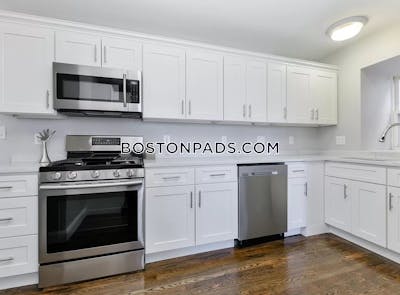 Dorchester Apartment for rent 3 Bedrooms 1 Bath Boston - $3,350 50% Fee