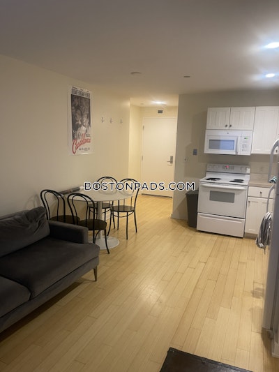 Downtown Apartment for rent 1 Bedroom 1 Bath Boston - $3,000 No Fee