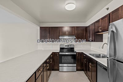 Mission Hill 3 bedroom 1.5 baths Luxury in BOSTON Boston - $5,500