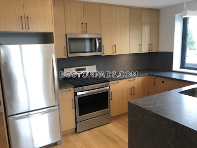 Allston 2 Beds 2 Baths Boston - $4,700 No Fee