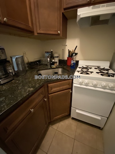 Northeastern/symphony Apartment for rent 2 Bedrooms 1 Bath Boston - $4,500