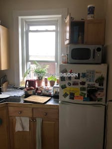 Allston Apartment for rent 1 Bedroom 1 Bath Boston - $2,940