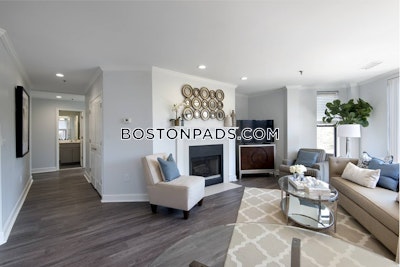 Back Bay 2 bedroom  baths Luxury in BOSTON Boston - $6,742