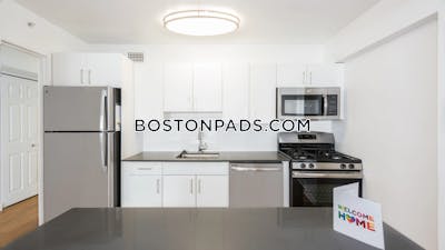 West End Apartment for rent Studio 1 Bath Boston - $2,890