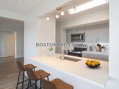 Brighton Apartment for rent 1 Bedroom 1 Bath Boston - $3,225