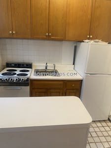 Mission Hill Apartment for rent Studio 1 Bath Boston - $1,900 No Fee
