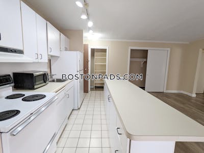 Brookline Apartment for rent 1 Bedroom 1 Bath  Coolidge Corner - $3,000