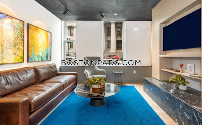 Downtown 1 bedroom 1 baths Luxury in BOSTON Boston - $3,409