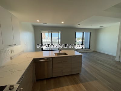 Allston 2 bedroom 2.5 baths in BOSTON Boston - $4,300 No Fee