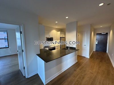 Downtown Apartment for rent 2 Bedrooms 2 Baths Boston - $4,711