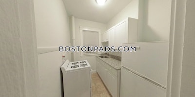 Allston/brighton Border Apartment for rent 1 Bedroom 1 Bath Boston - $2,250 No Fee